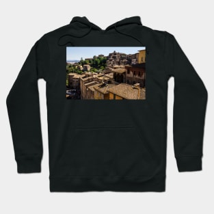 Sienese Rooftops Hoodie